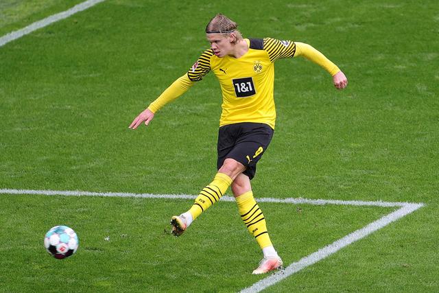 粉丝和业内 粉丝和业内