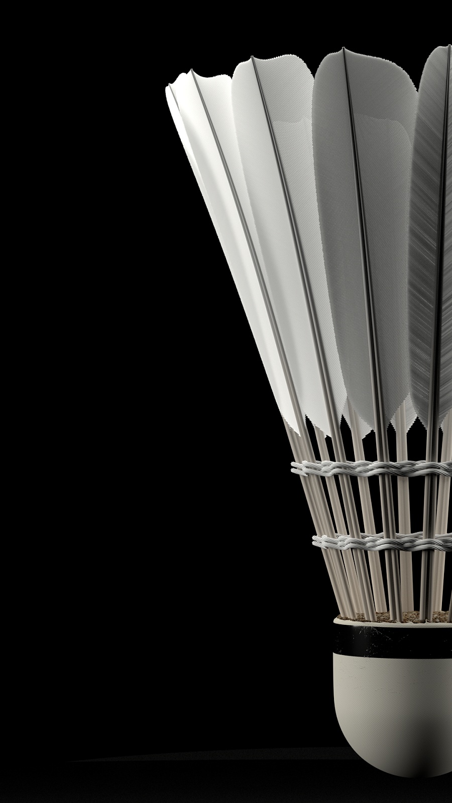 的球迷而言 的球迷而言